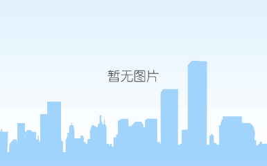 c# 在 ppt 中创建组合图表